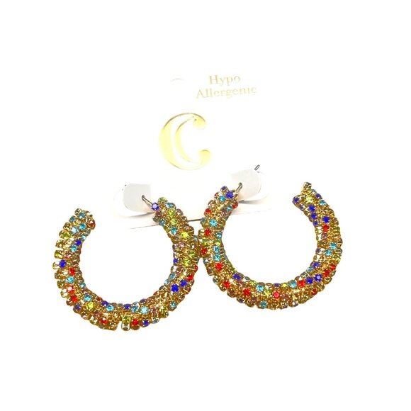 Charming Charlie Hypoallergenic Rainbow Crystal Hoop Earrings MSRP 48 - Picture 5 of 8